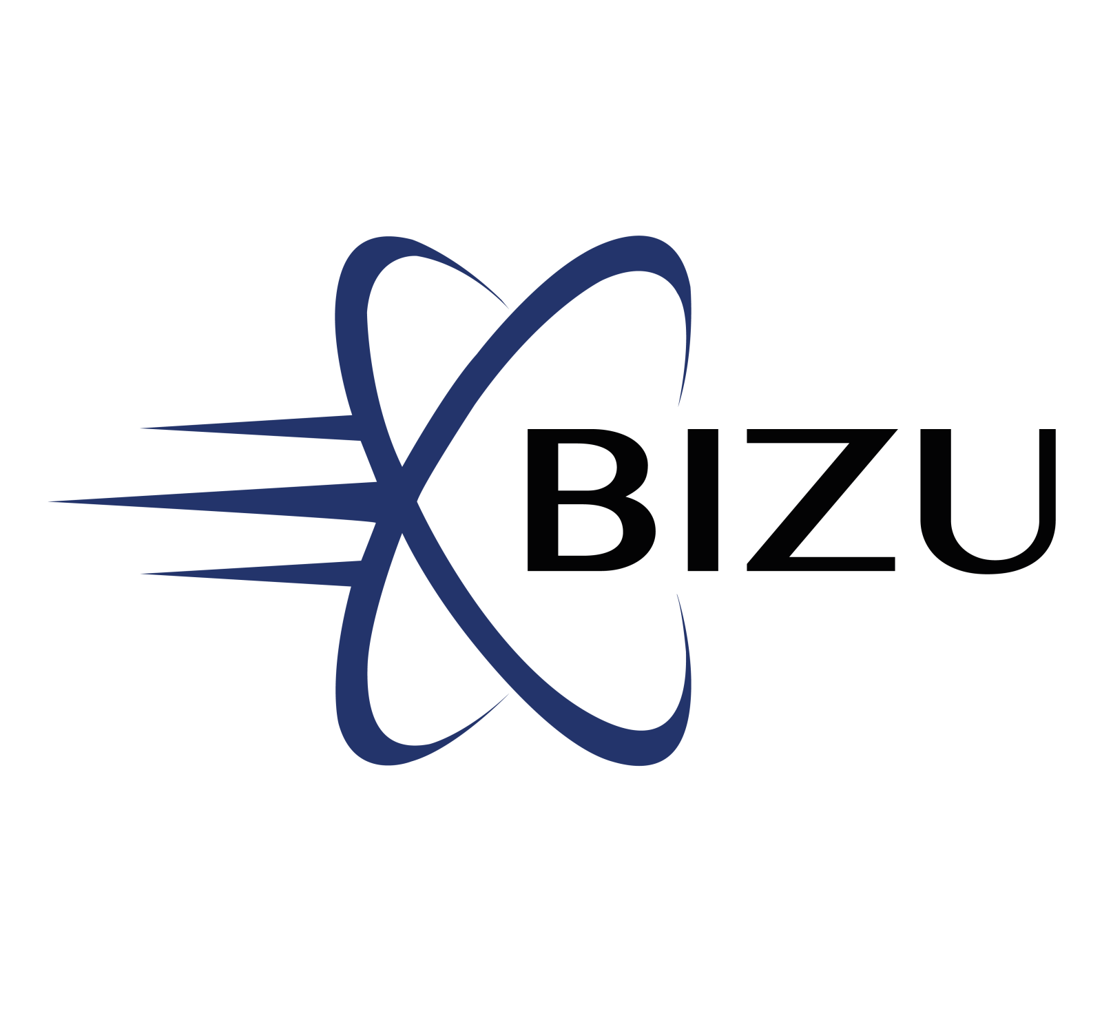 Bizu